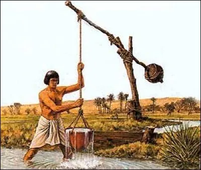 Quel est cet outil ancien utilisé pour puiser l'eau à des fins d'irrigation ?