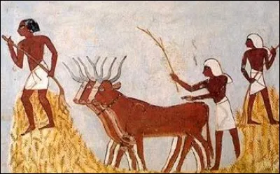 Quelle est la période des récoltes ?