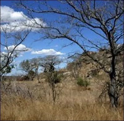 De quel pays le parc national de Kruger est-il la plus grande réserve animalière ?