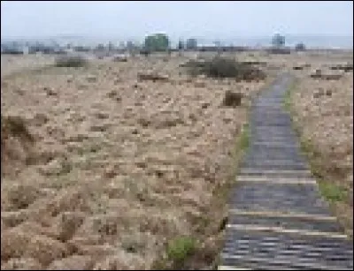 Dans quel pays d'Europe du Nord peut-on se promener sur le plateau des Hautes Fagnes ?