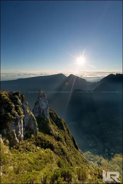 Que veut dire l'expression "Dann oui la poin batay" ?