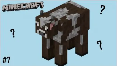 Que donne la vache une fois tuée ?