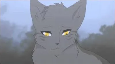 Qui devient le deuxième lieutenant d'Étoile de Feu ?