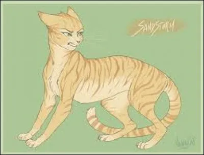 Qui devient la compagne d'Étoile de Feu ?