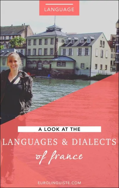 L'Acad&eacute;mie est favorable &agrave; l'introduction des dialectes comme langues officielles.