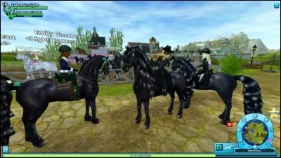 Quelle est cette race de cheval ?