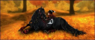 Quel est cet endroit ?