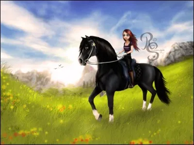 Est-il possible de skier dans le jeu ?