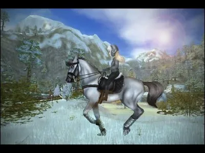 Avons-nous des concours de dressage ?