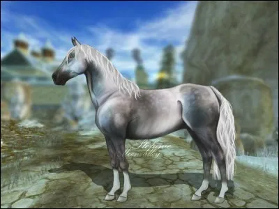 Comment s'appelle ce genre de dessin ?