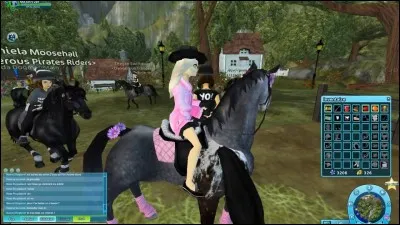 Quelle est la somme maximum en shillings ?