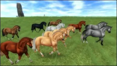 Pouvons-nous être des chevaux sauvages ?