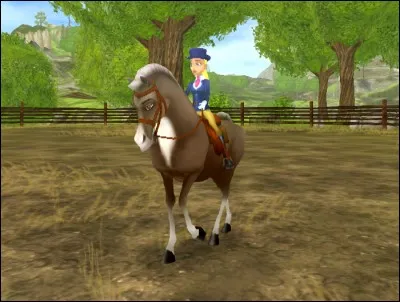 Comment s'appelle ce cheval ?