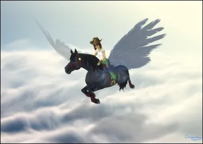 Est-il possible de voler dans le ciel ?