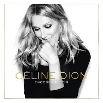 Toutes ces personnes ont travaillé pour Céline Dion en 2016. Qui a signé la chanson éponyme de l'album ''Encore un soir'' ?