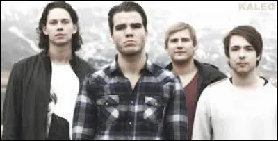 J'ai découvert Kaleo grâce à ''Way Down We Go'' . Devinerez-vous de quel pays est originaire ce groupe si je vous dis que c'est celui qui est le plus au nord ?