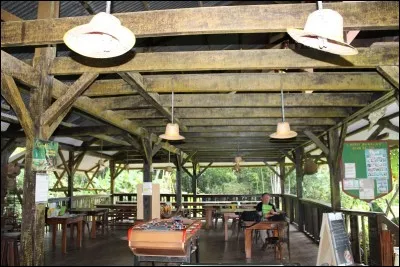 Comment appelle-t-on les dents situées à l'arrière du palais de certains poissons !