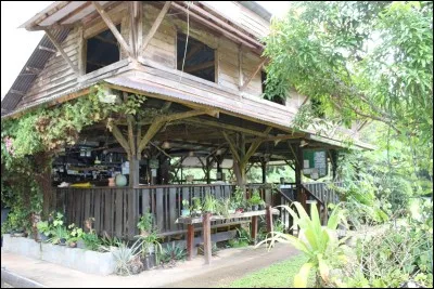 Plante des près humides !