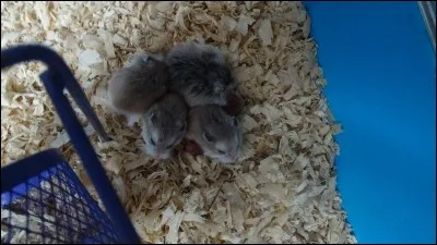 Qui a de la pénétration, qui aperçoit ce qui est difficile à voir, qui devine la solution !