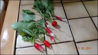 Trouble de la parole, caractérisé par la répétition involontaire de syllabes ou de mots !