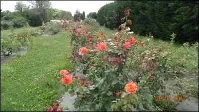 Mie de pain râpée, dont on saupoudre les poissons ou les viandes !