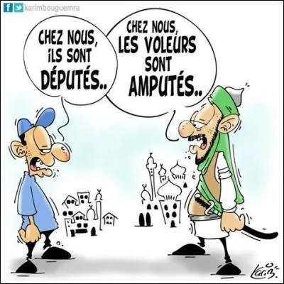 Pour leurs déplacements, s'ils achètent ou louent une voiture avec une option d'achat, ils ne sont pas remboursés.