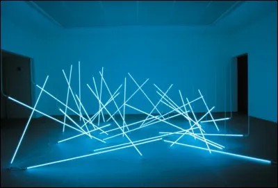 Quel artiste français est connu pour ses uvres en néons ?