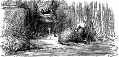 Quel oiseau se fit croquer par son ami le chat ?