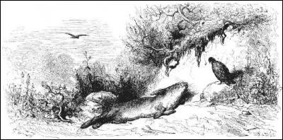 Que d&eacute;vora un autour aux serres cruelles ?