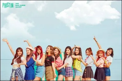 Combien de membres y a-t-il dans le groupe Pristin ?