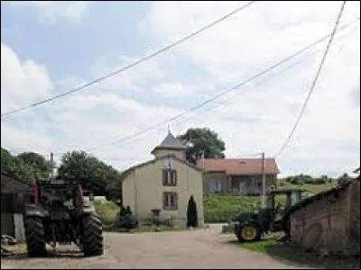 Petit village Vosgien de 23 habitants, Rapey se situe dans l'ancienne région ...