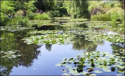 Vous êtes au cur d'un miroir renversé et vous vous laissez pénétrer par la magie des illusions. Les arbres sont au dessous de la mousse et les nuages plus bas que ce-là !