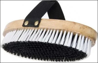 Comment s'appelle cette brosse ?