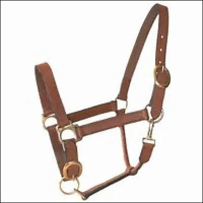 Comment s'appelle cet objet ?