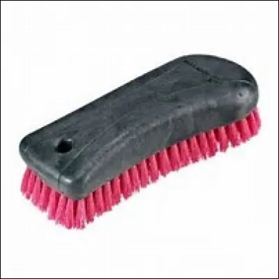 Comment s'appelle cette brosse ?
