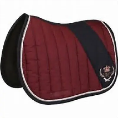 Comment s'appelle l'objet qu'il y a sous la selle ?