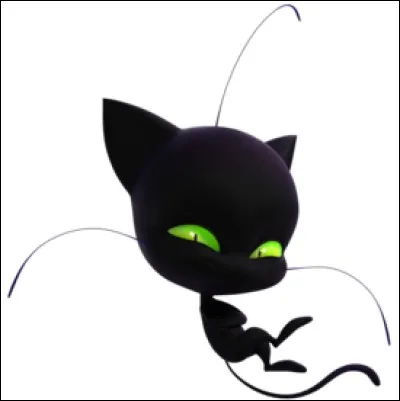 Comment s'appelle ce chat ?