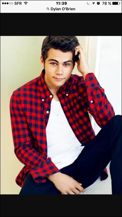 Comment s'appelle l'acteur qui joue Stiles ?