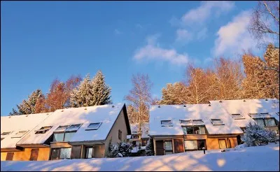 Quel type de vacances préfères-tu ?