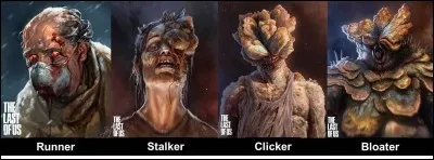 Comment s'appellent les quatre rares infectés de types différents ?