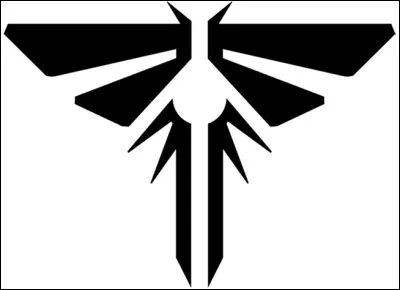 Comment s'appelle le groupe anti-gouvernemental ?