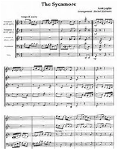 Quel est ton instrument de musique pr&eacute;f&eacute;r&eacute; ?