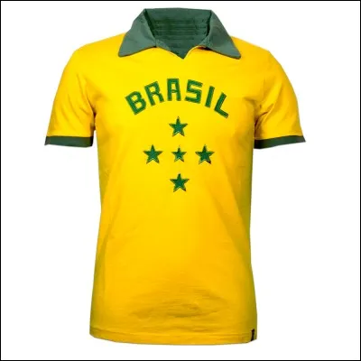 Quelle est la langue officielle au Brésil ?