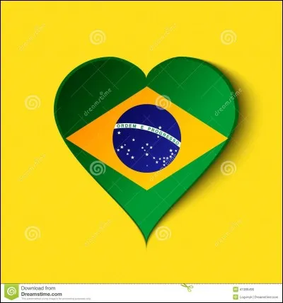 Que signifie la couleur jaune du drapeau ?