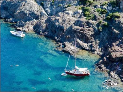 Comment est le climat des côtes méditerranéennes ?