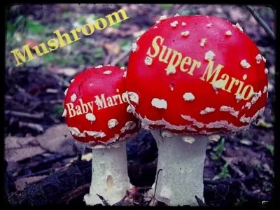 Parlons d'un jeu vidéo très connu. Dans "Super Mario", que se passe-t-il quand bébé Mario avale un de ces champignons ?