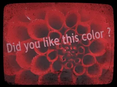 Encore une fois, grâce aux mangas-animes, j'ai appris pas mal de mots en japonais. Par exemple : "rouge" se dit...