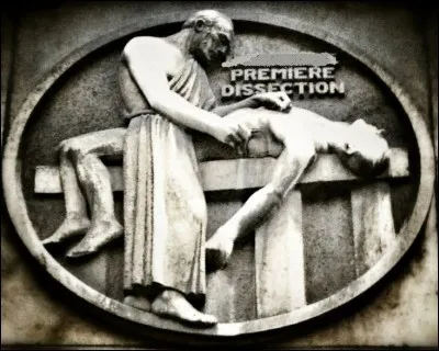 Fondateur de l'école de médecine d'Alexandrie, immensément réputé en tant que praticien, spécialiste des dissections, donna son nom au premier segment de l'intestin grêle, le duodénum. Qui est-il ?