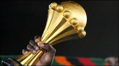 Qui a participé à la Coupe d'Afrique des nations ?