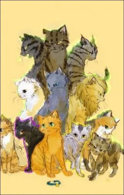 Quel serait ton pouvoir ?